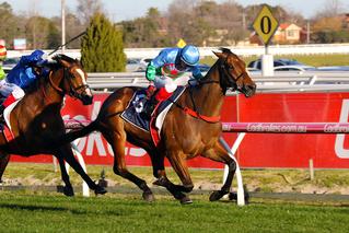 Scales of Justice claims the G1 NZB Memsie Stakes at Caulfield.